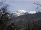 trzic - Bistriška planina
